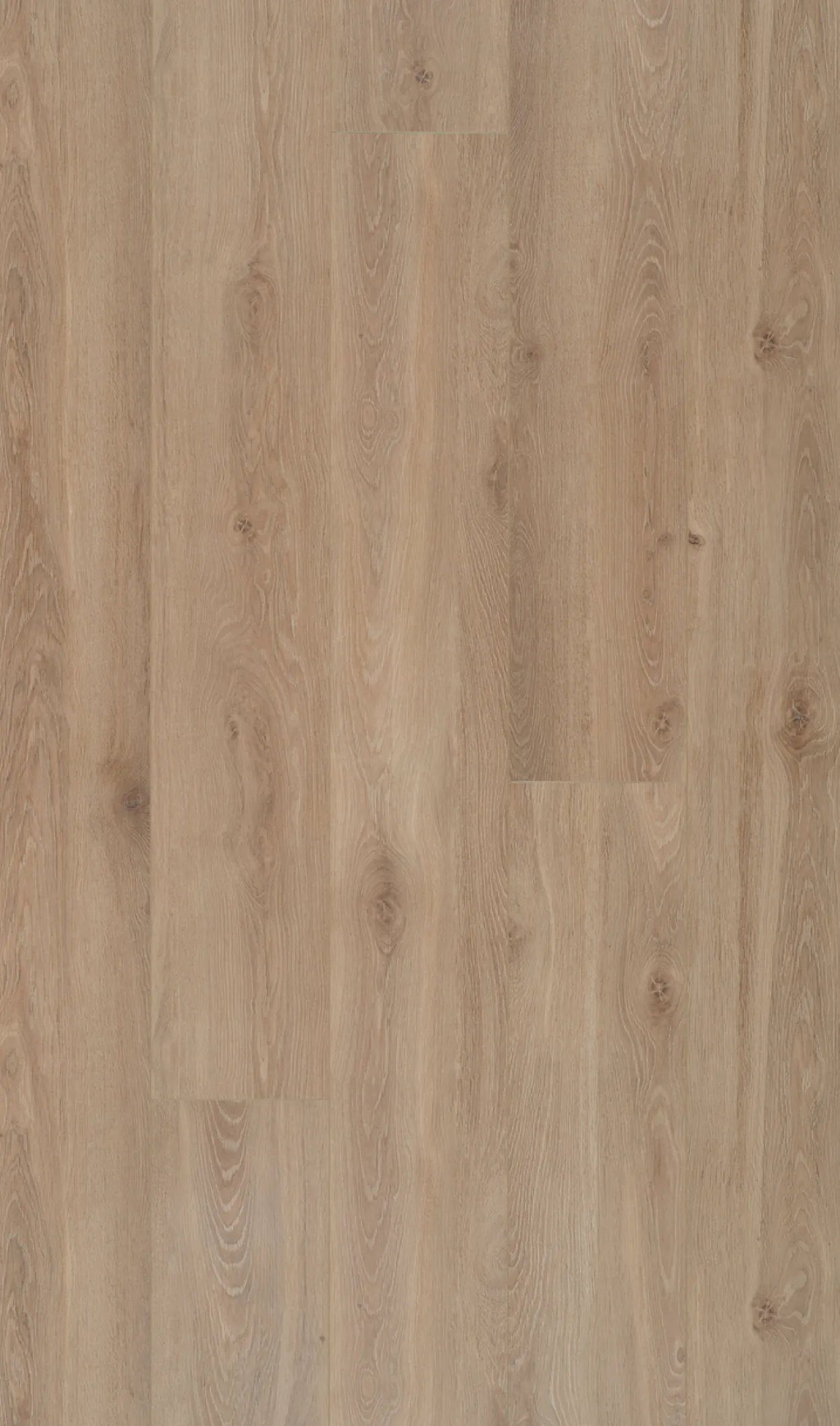 Berryalloc connect xl bloom light brown laminatgulv