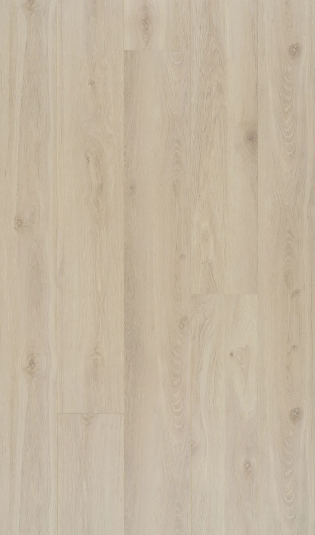 Berryalloc connect xl bloom sand natural laminatgulv