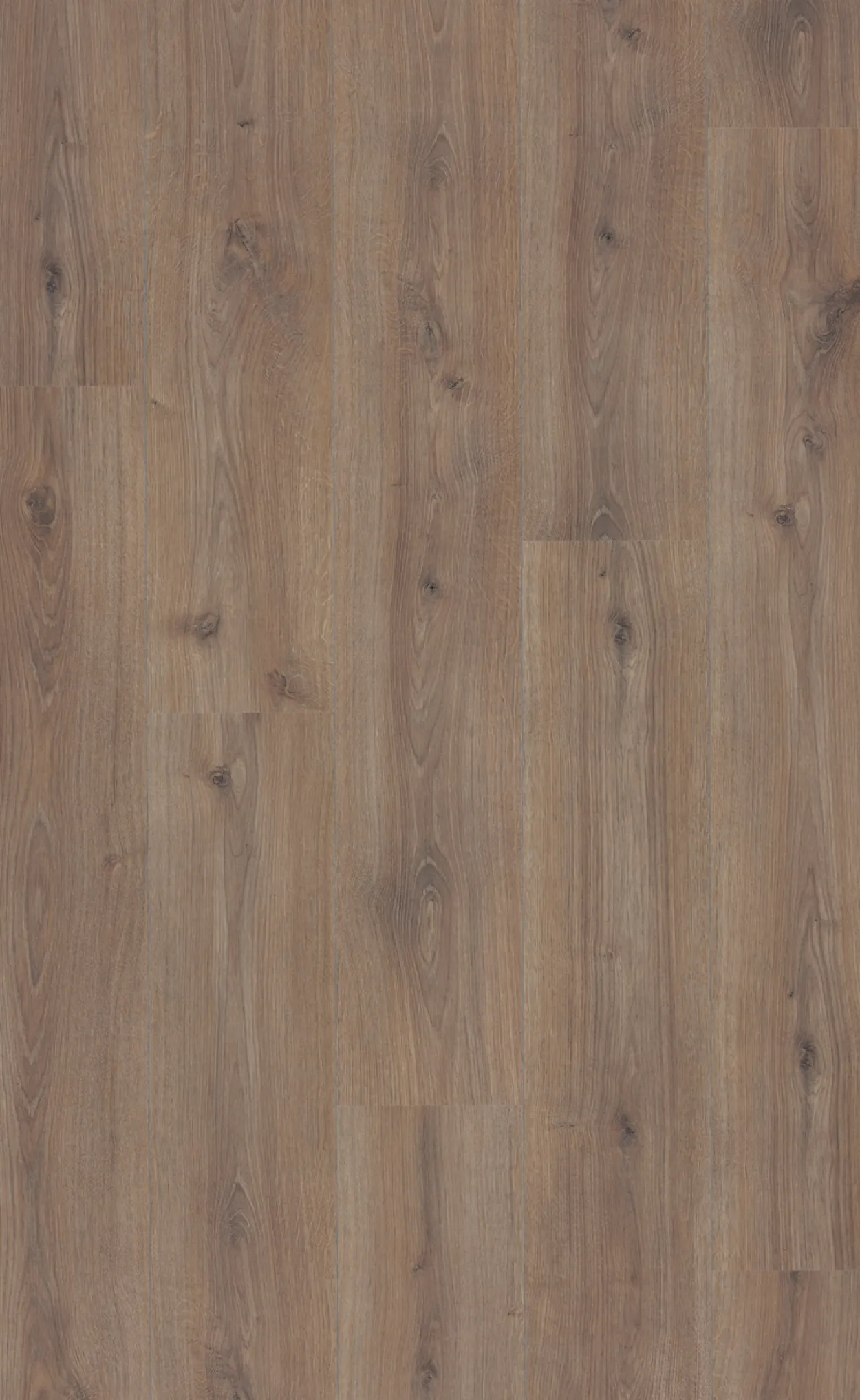 Berryalloc original comfort butterscotch oak laminatgulv
