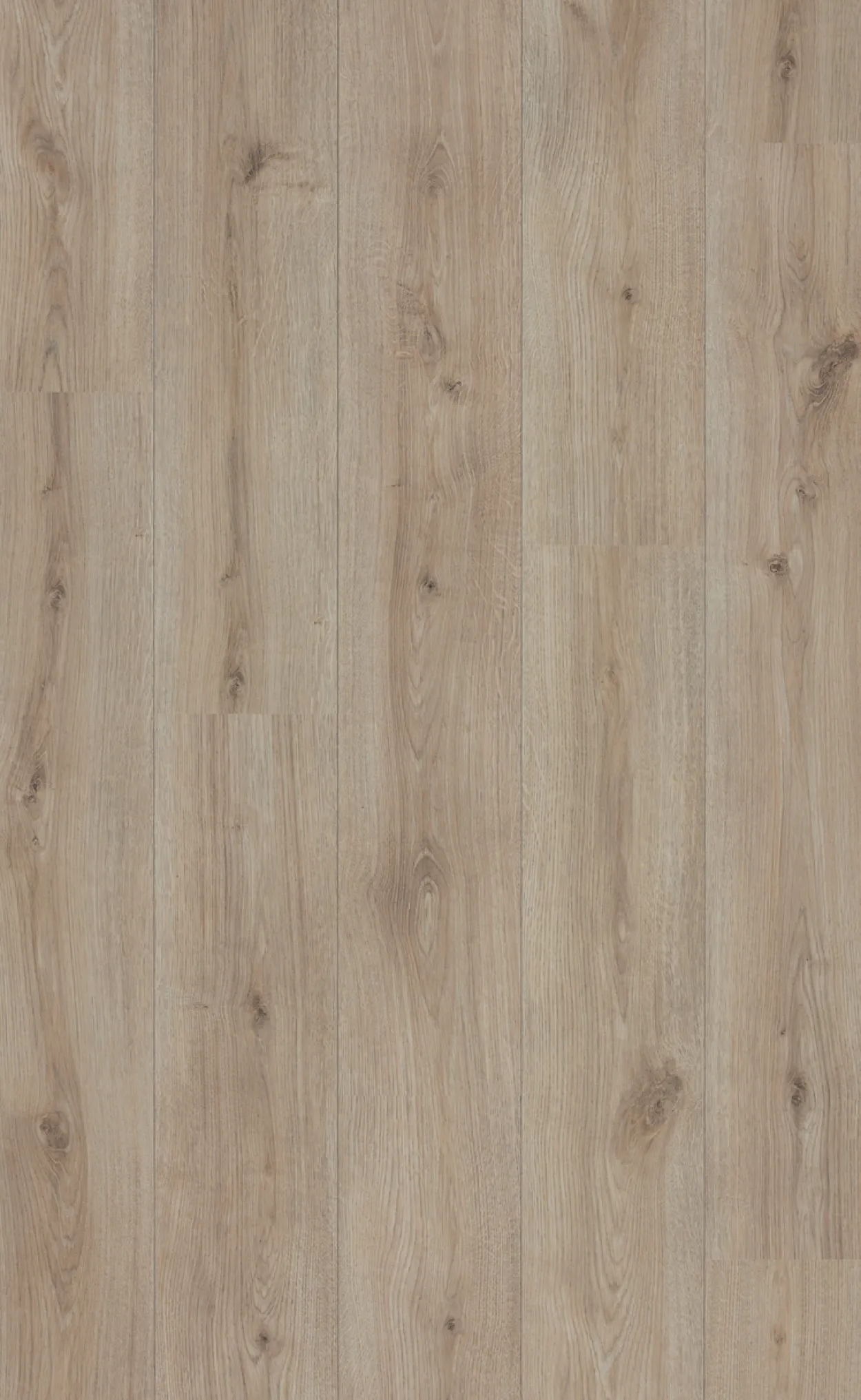Berryalloc original comfort dune oak laminatgulv