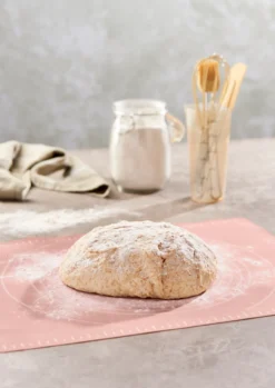 Day bakematte silikon 50x39cm assortert
