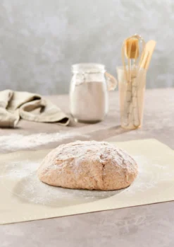 Day bakematte silikon 50x39cm assortert