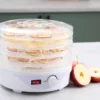 Day dehydrator 245w