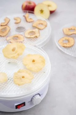 Day dehydrator 245w