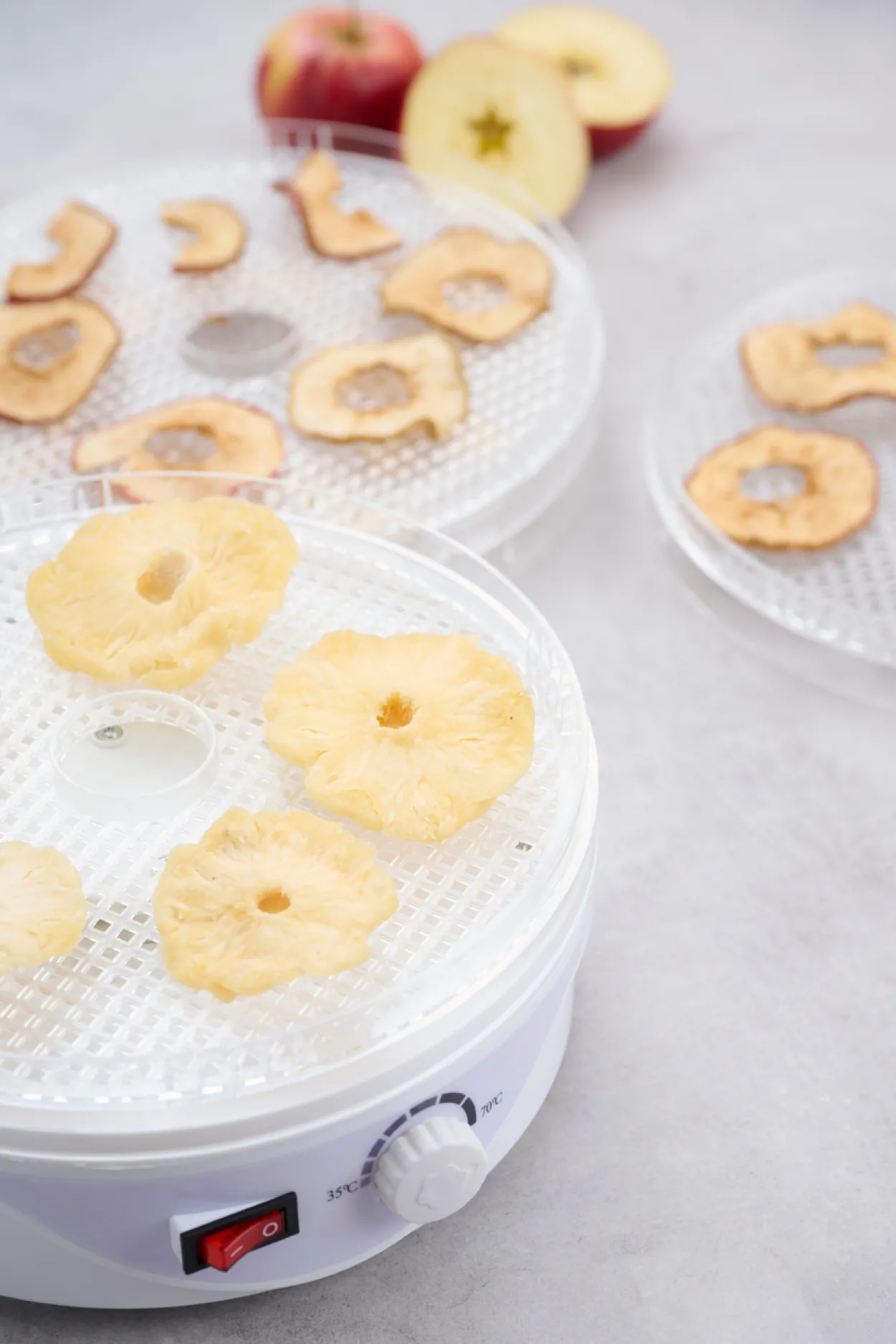 Day dehydrator 245w