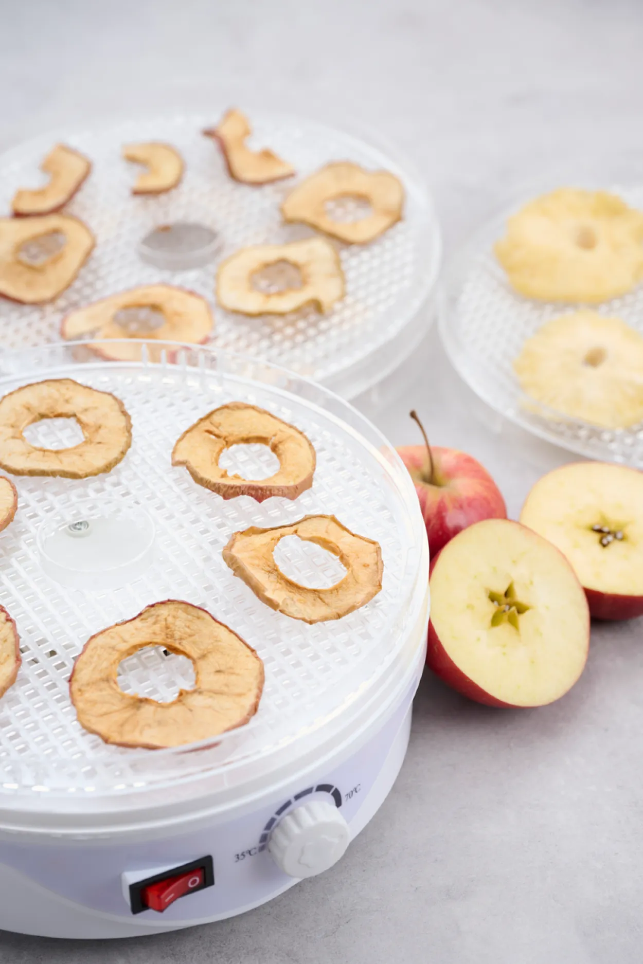 Day dehydrator 245w