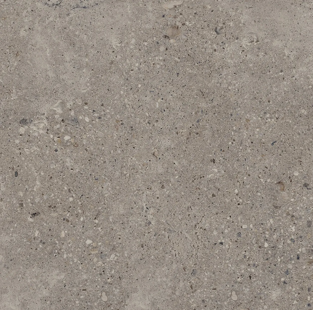 Konkrete cenere 60x60 9,5mm