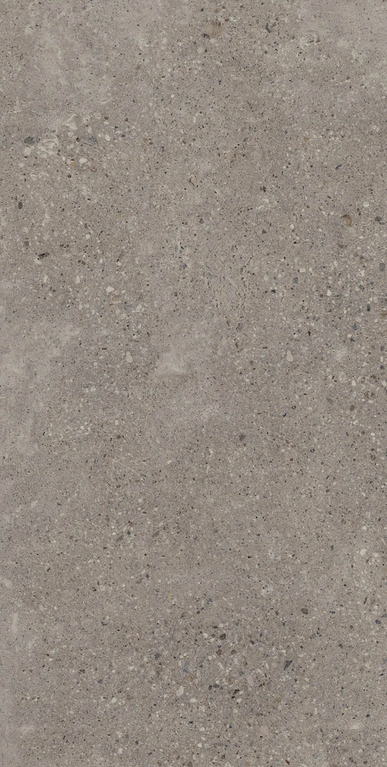Konkrete cenere 60x120 9,5mm