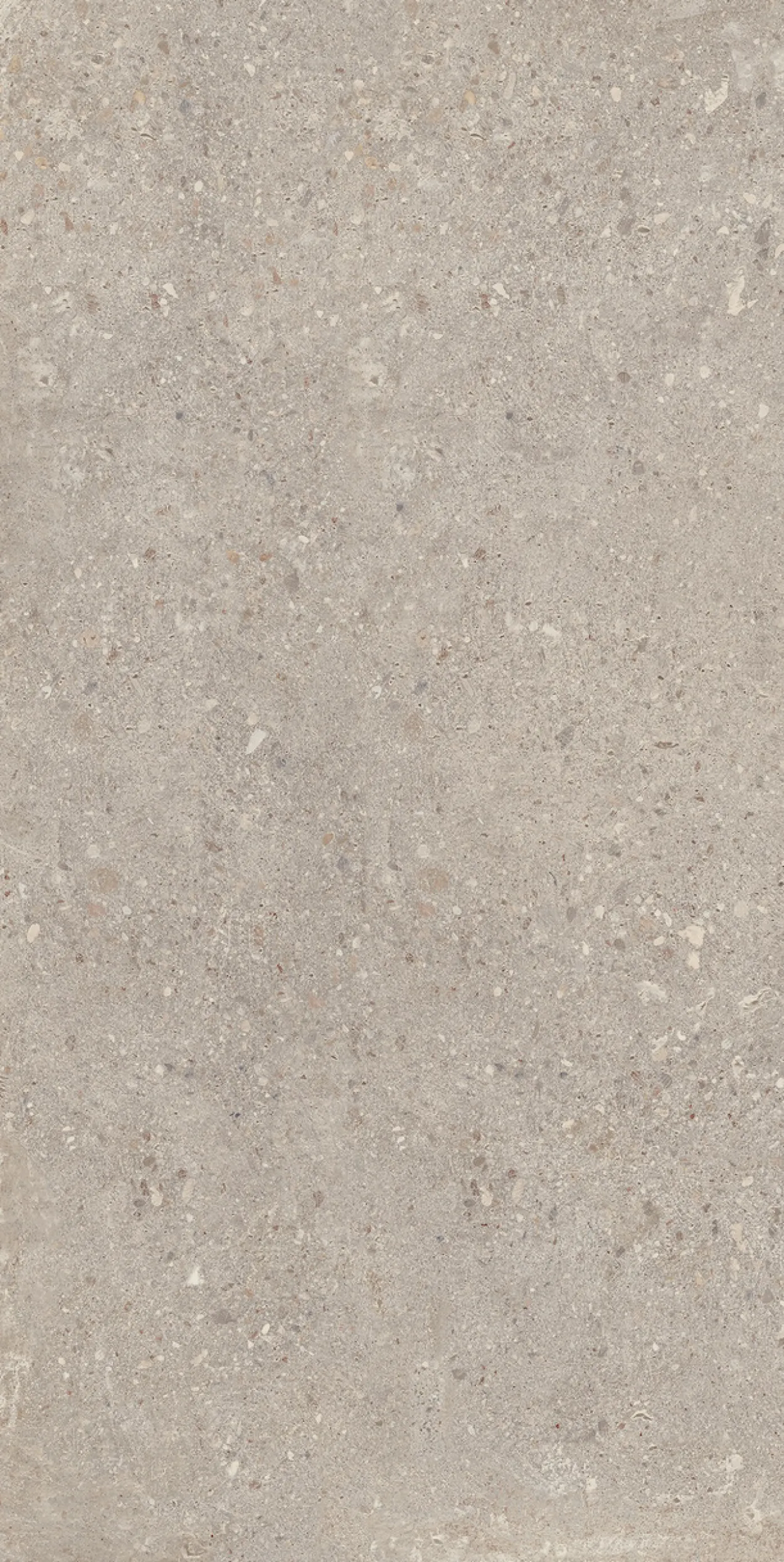 Konkrete grigio 60x120 9,5mm
