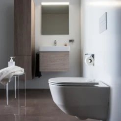 Laufen pro veggskål rimless og lcca