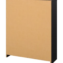 Lind fiora skoskap sort 2 dører 70x24x85