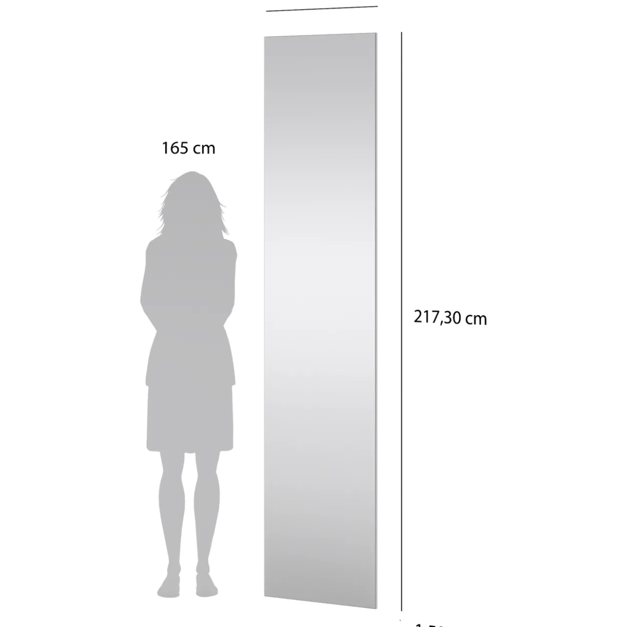 Lind nest dør speil 50x220