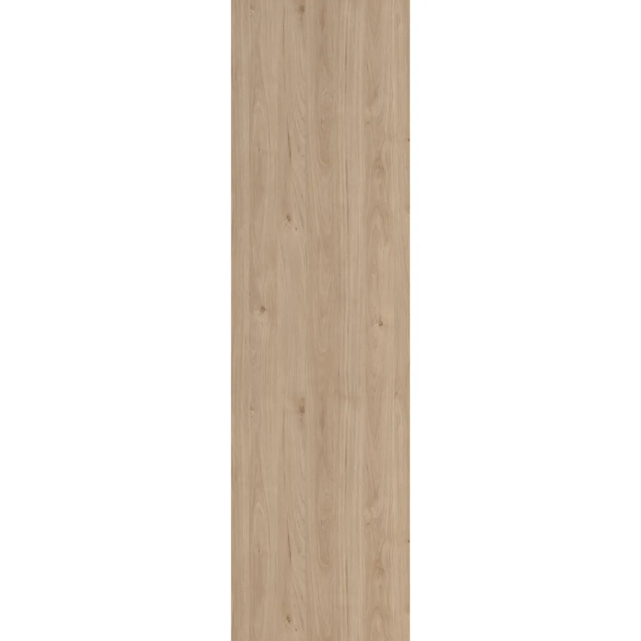 Lind nest sider eik 2stk