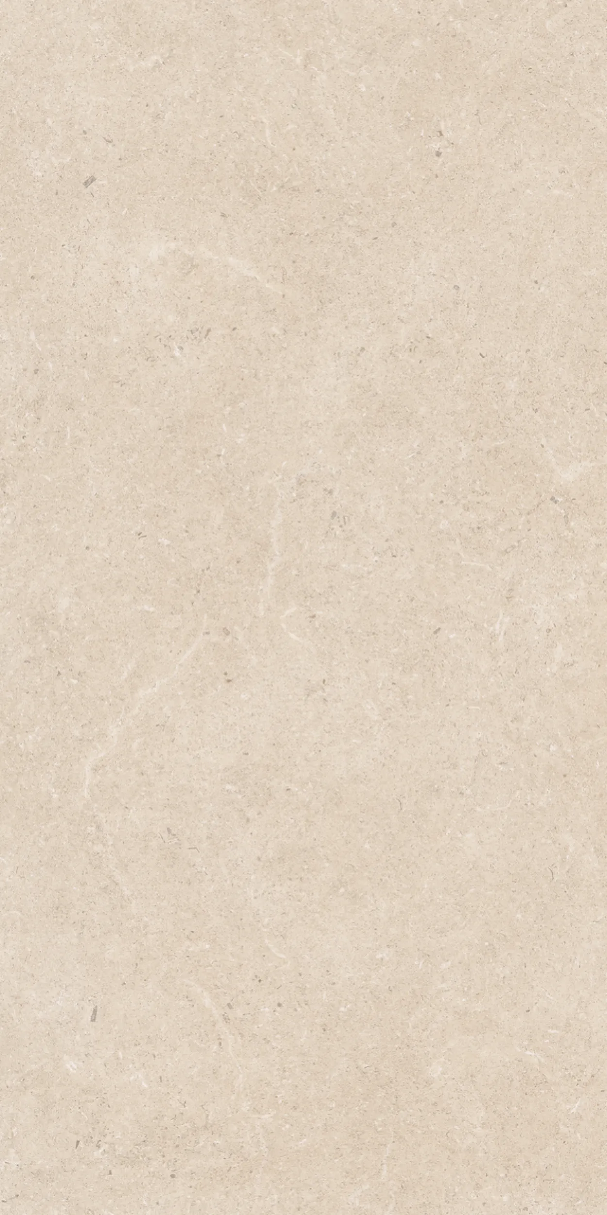 Surround sketch 60x120 9mm
