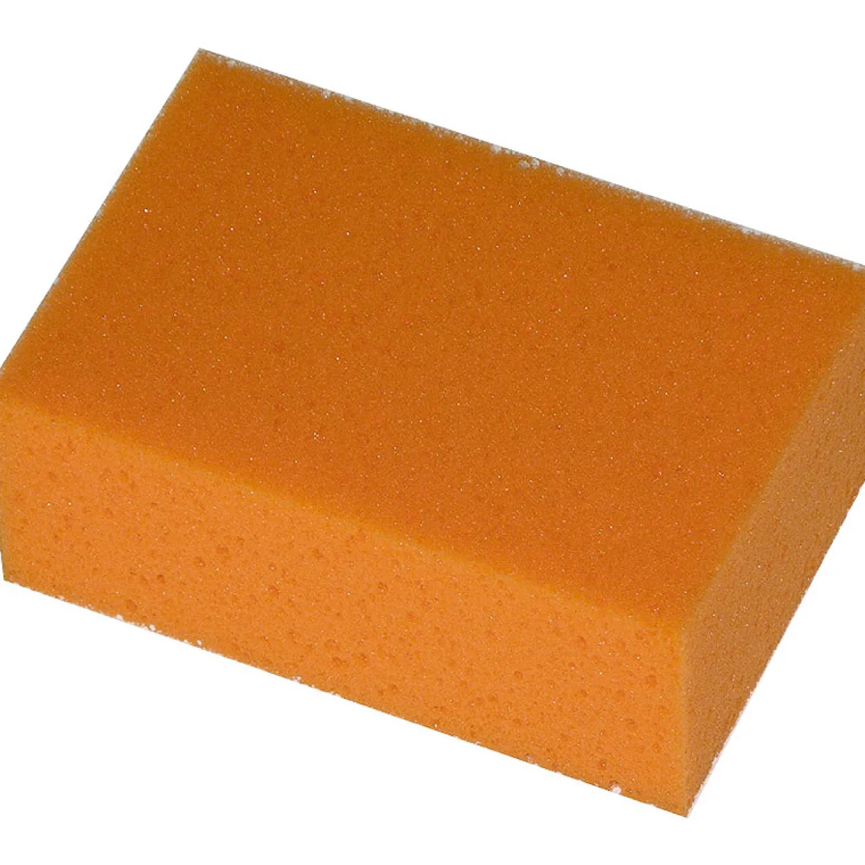 Svamp orange