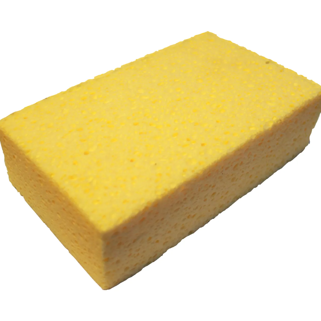 Svamp sponge nr. 8