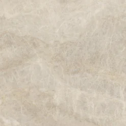 Tajmahal tan polished 60x60 9mm