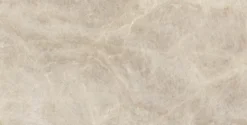 Tajmahal tan polished 60x120 9mm