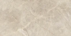 Tajmahal tan polished 60x120 9mm