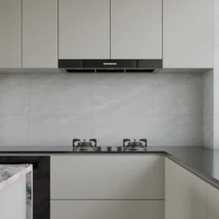 Terra chiaro 30x60 9,5mm